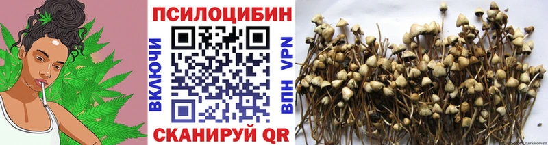 Псилоцибиновые грибы мицелий kraken как зайти Чапаевск